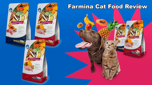 Farmina Cat Food Review: In-Depth Analysis and Expert Insights