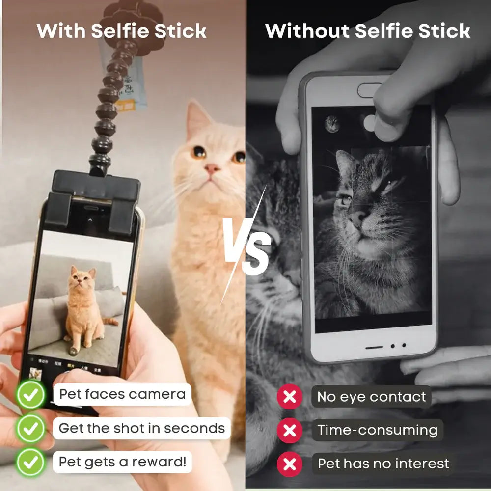 Snapcat Selfie Stick: Purrfect Cat Photos Every Time - Wonderful Cats