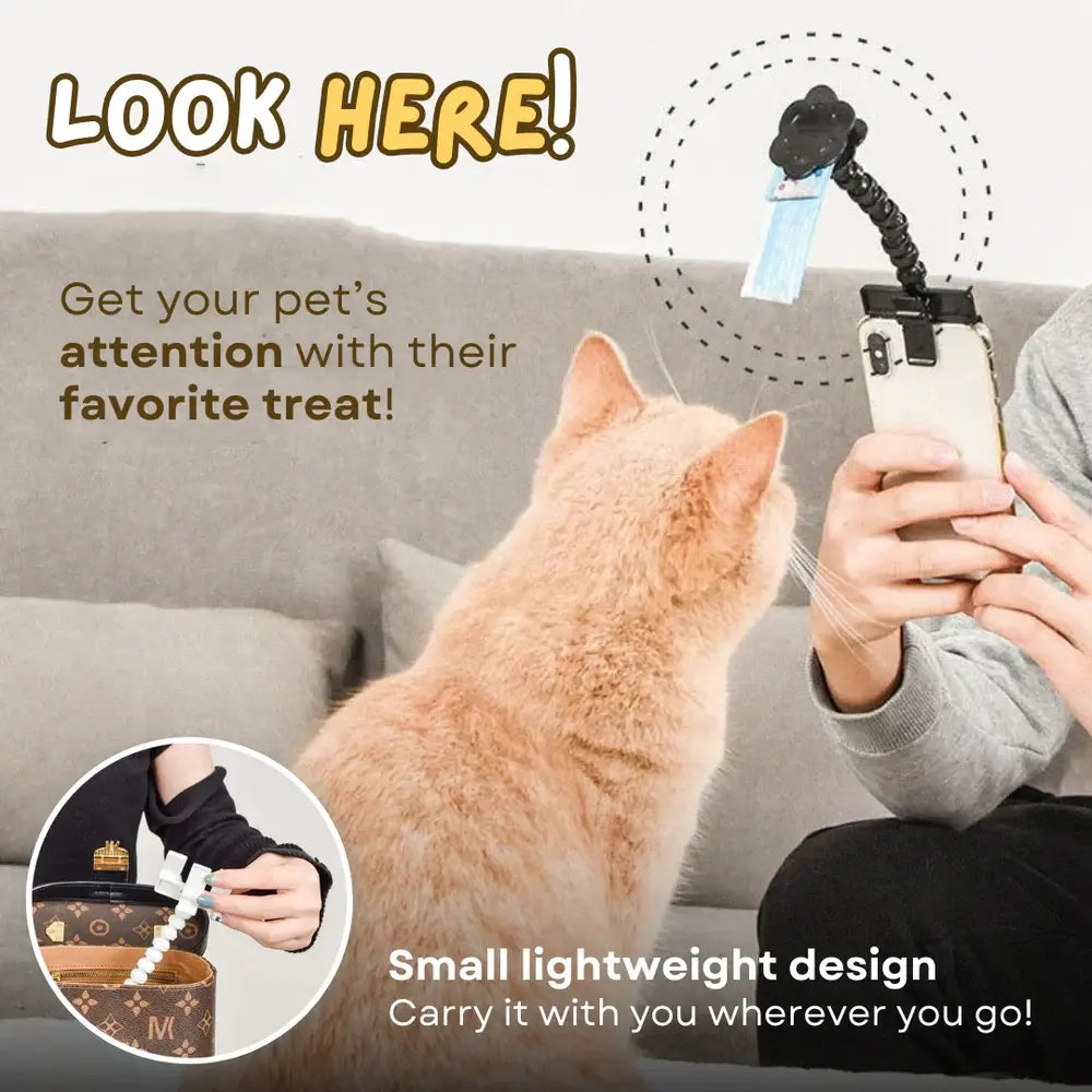 Snapcat Selfie Stick: Purrfect Cat Photos Every Time - Wonderful Cats