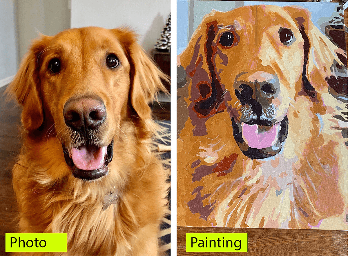 Paint Your Photo - Custom Paint by Number - Wonderful Cats