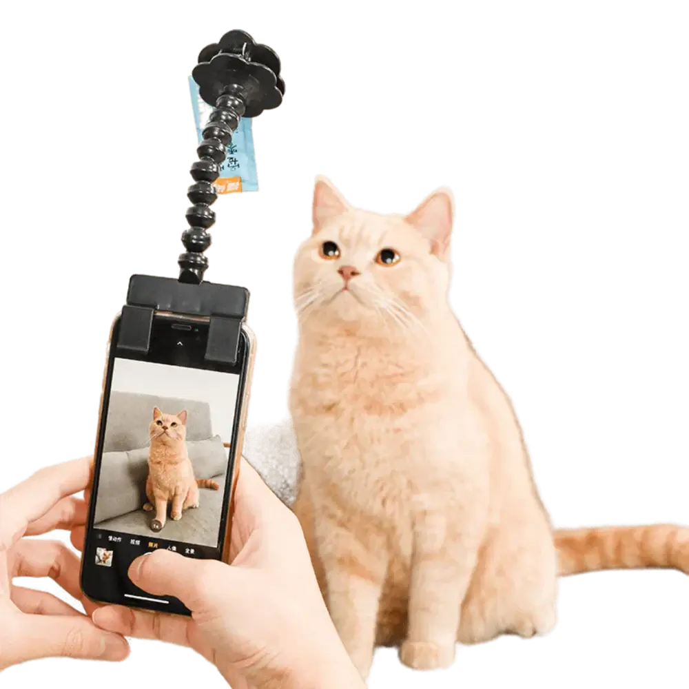 Snapcat Selfie Stick: Purrfect Cat Photos Every Time - Wonderful Cats