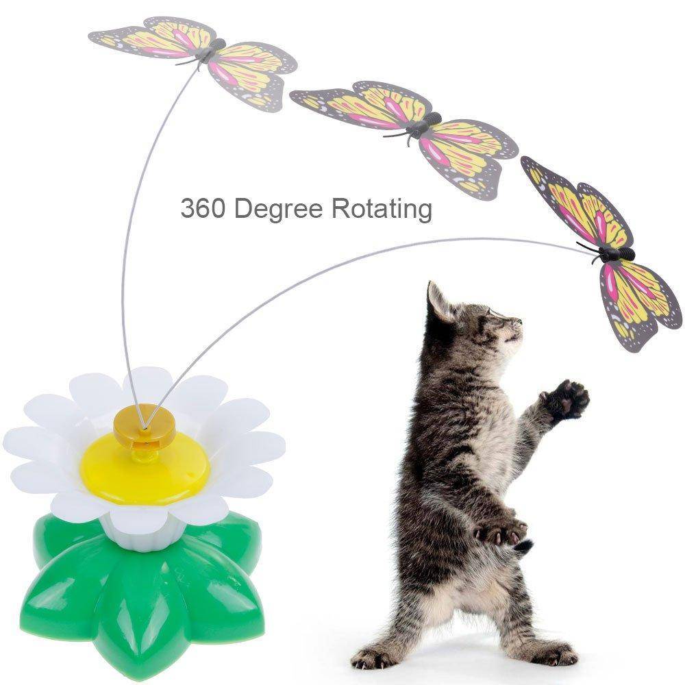 Interactive Butterfly/Bird Toy For Cats - Wonderful Cats