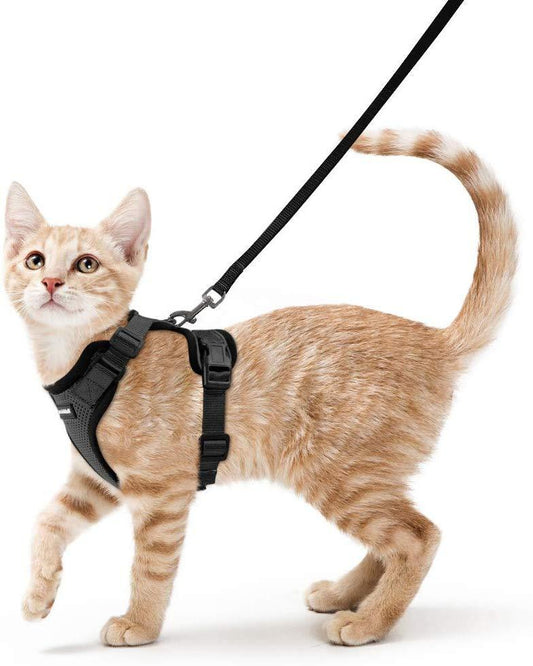 Ultimate Protective Cat Body Harness - Wonderful Cats