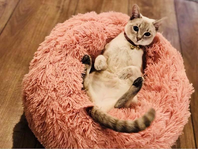 Marshmellow Cat Bed [HOT Selling!] - Wonderful Cats