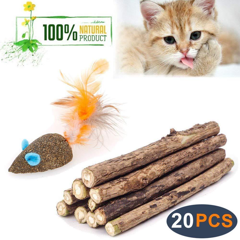 Organic Matatabi Silveine Dental Sticks For Cats (100% Natural) - Wonderful Cats