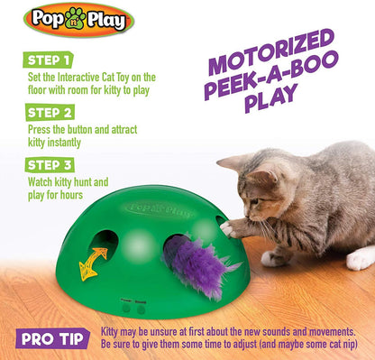 Dome Pop N Play Interactive Cat Toy - Wonderful Cats