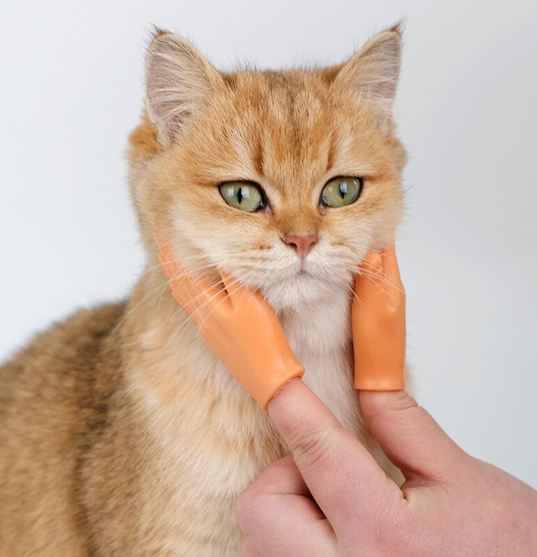 Cat Petting Finger Puppets - Wonderful Cats