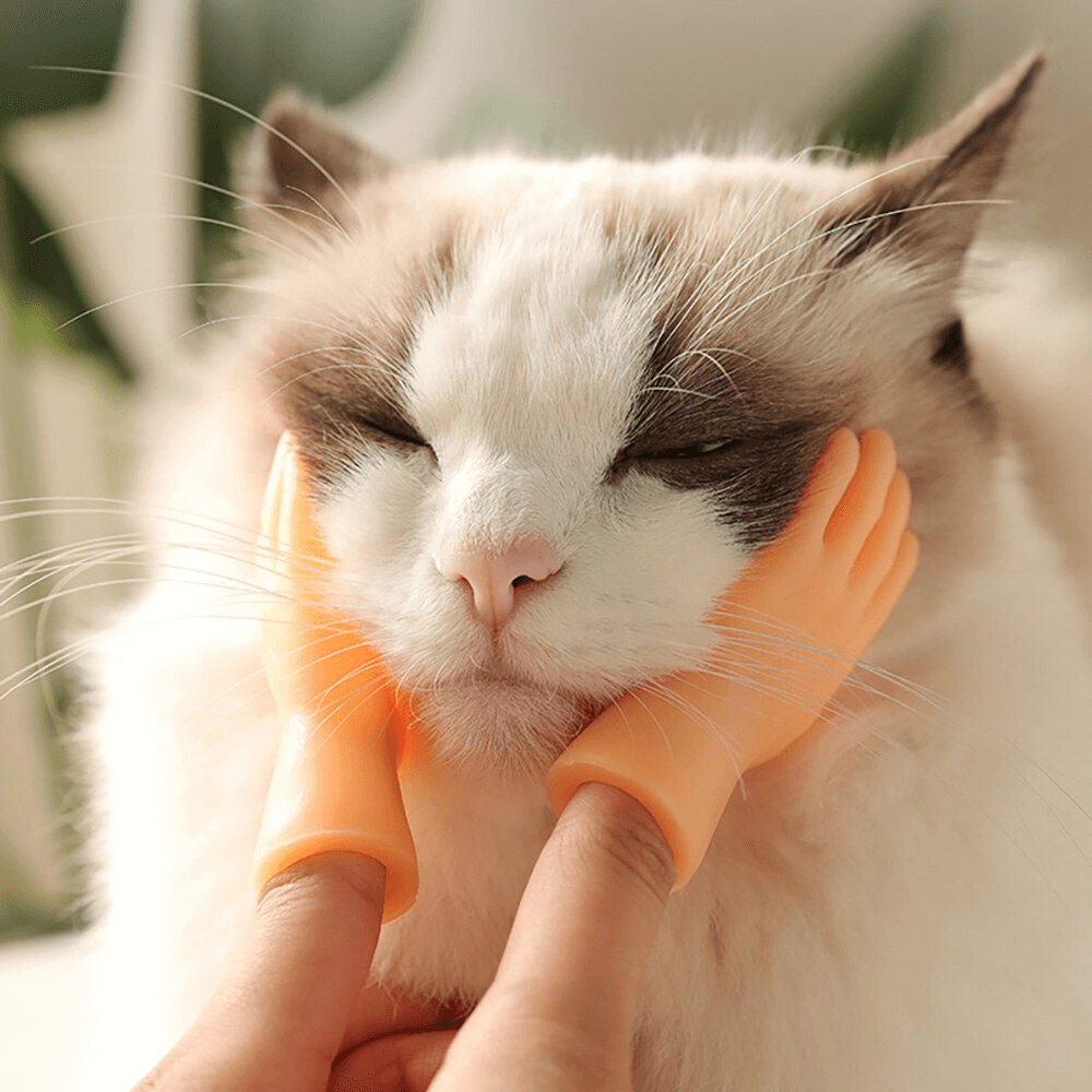 Cat Petting Finger Puppets - Wonderful Cats