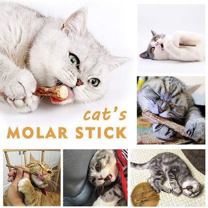 Organic Matatabi Silveine Dental Sticks For Cats (100% Natural) - Wonderful Cats