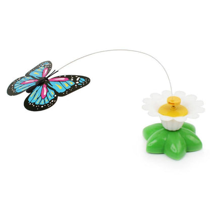 Interactive Butterfly/Bird Toy For Cats - Wonderful Cats