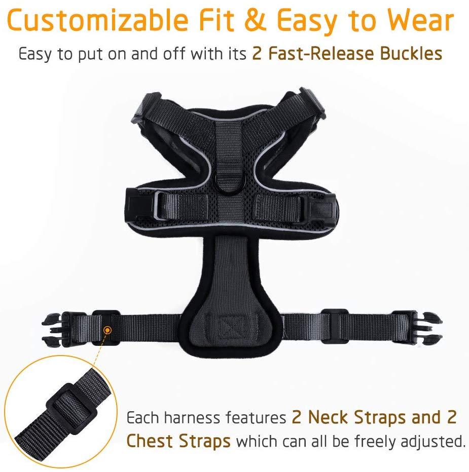 Ultimate Protective Cat Body Harness - Wonderful Cats