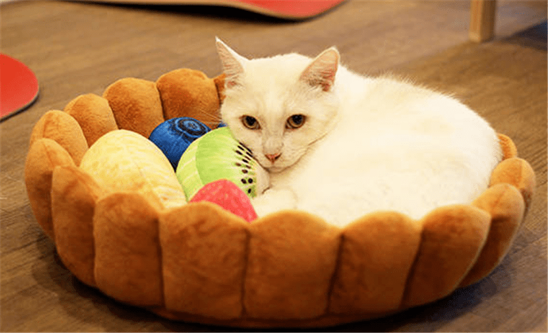 Fruit Tart Cat Bed - Wonderful Cats