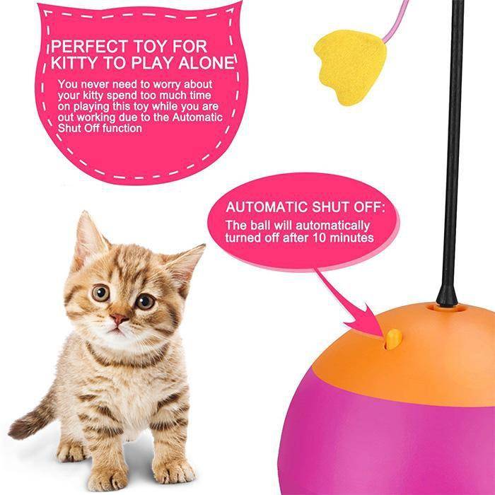 3-in-1 Interactive Cat Toy - Wonderful Cats