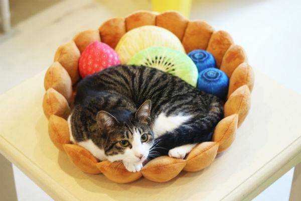 Fruit Tart Cat Bed - Wonderful Cats