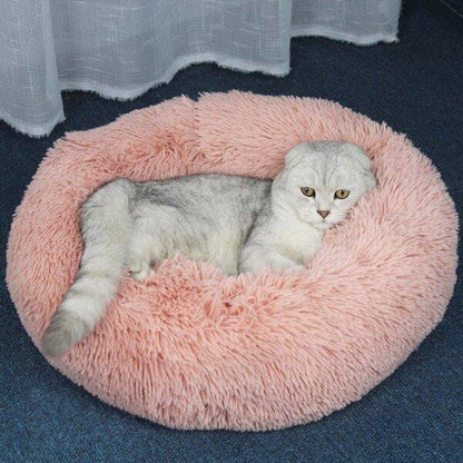 Marshmellow Cat Bed [HOT Selling!] - Wonderful Cats