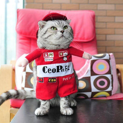 Cat Costumes - Wonderful Cats