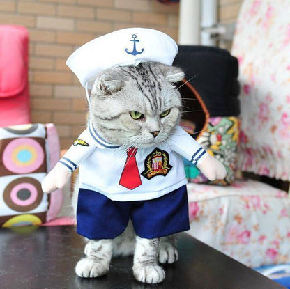 Cat Costumes - Wonderful Cats