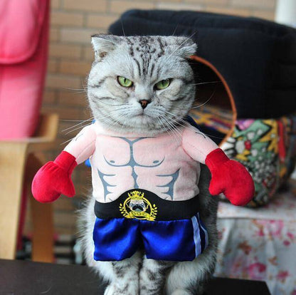 Cat Costumes - Wonderful Cats