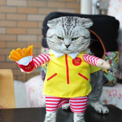 Cat Costumes - Wonderful Cats