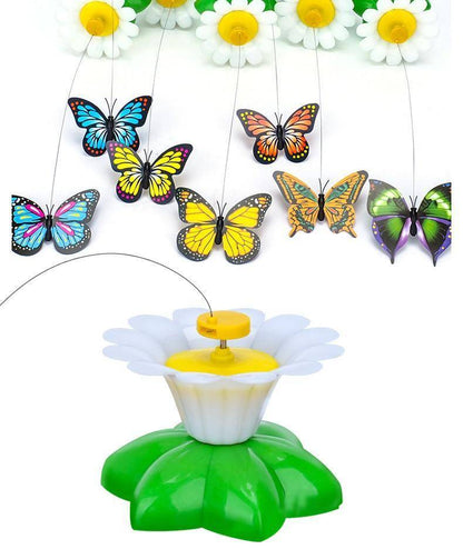 Interactive Butterfly/Bird Toy For Cats - Wonderful Cats