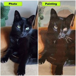 Paint Your Photo - Custom Paint by Number - Wonderful Cats