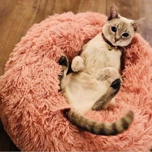 Marshmellow Cat Bed [HOT Selling!] - Wonderful Cats