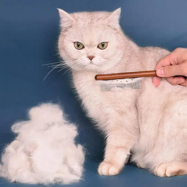 WhiskerCare: The Ultimate Cat Grooming Comb - Wonderful Cats