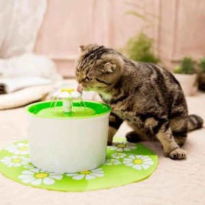 Automatic Cat Water Fountain - Wonderful Cats