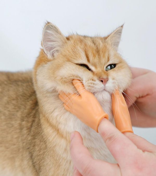 Cat Petting Finger Puppets - Wonderful Cats