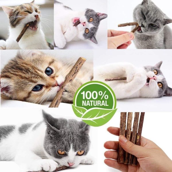 Organic Matatabi Silveine Dental Sticks For Cats (100% Natural) - Wonderful Cats