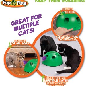 Dome Pop N Play Interactive Cat Toy - Wonderful Cats