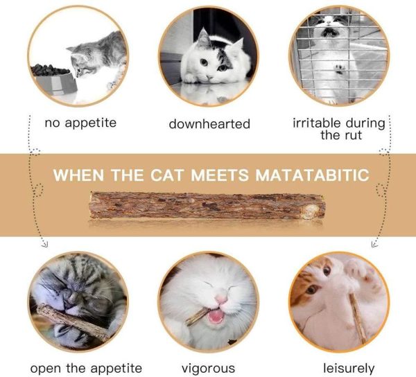 Organic Matatabi Silveine Dental Sticks For Cats (100% Natural) - Wonderful Cats
