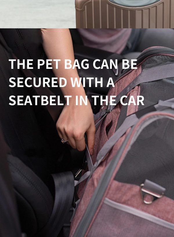 Compact Pet Travel Bag - Wonderful Cats