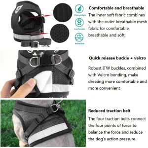 Ultimate Protective Cat Body Harness - Wonderful Cats