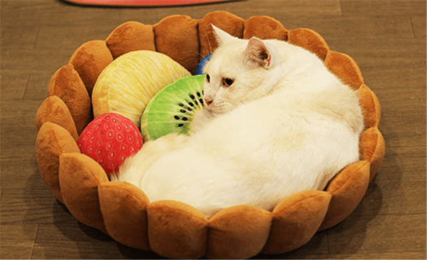 Fruit Tart Cat Bed - Wonderful Cats