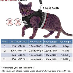 Ultimate Protective Cat Body Harness - Wonderful Cats