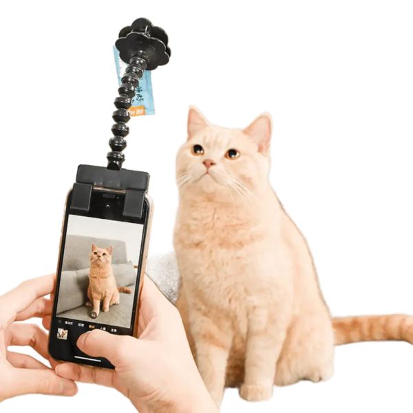 Snapcat Selfie Stick: Purrfect Cat Photos Every Time - Wonderful Cats