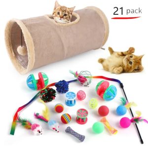 Cat Playtime Essentials Collection - Wonderful Cats