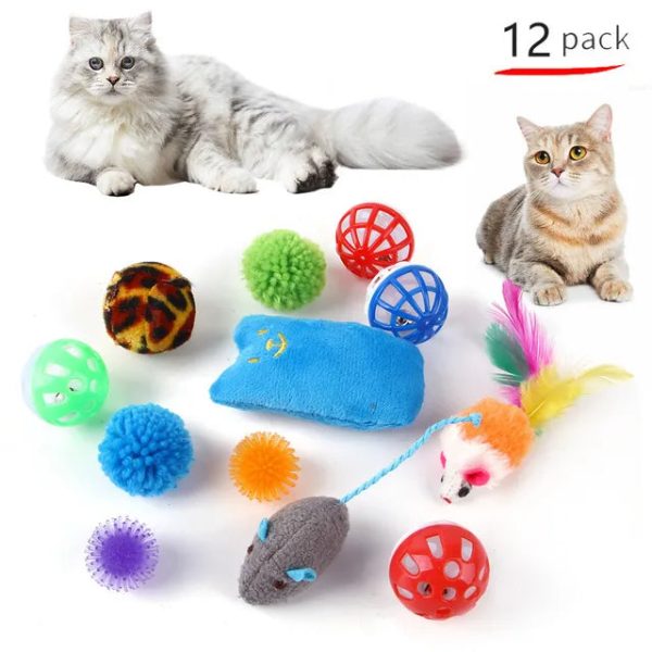 Cat Playtime Essentials Collection - Wonderful Cats