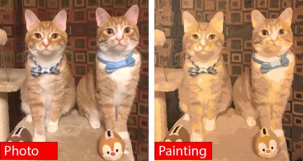Paint Your Photo - Custom Paint by Number - Wonderful Cats