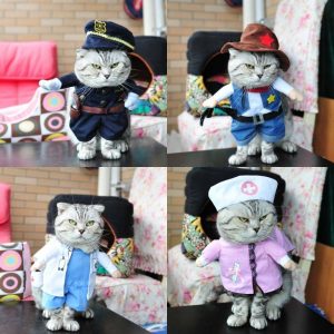 Cat Costumes - Wonderful Cats