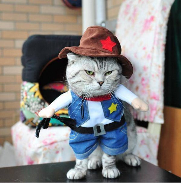 Cat Costumes - Wonderful Cats